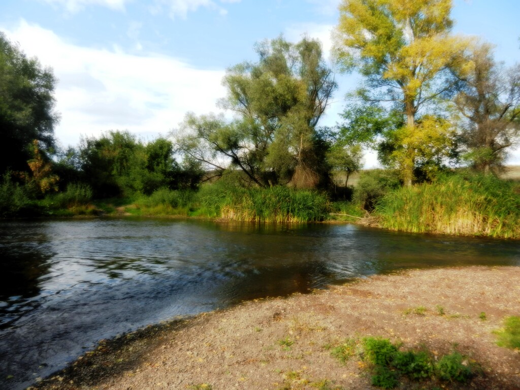 ������������� �����������