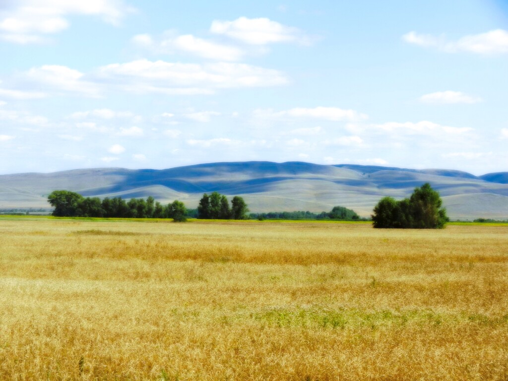 ������������� �����������