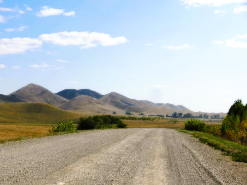 ������������� �����������