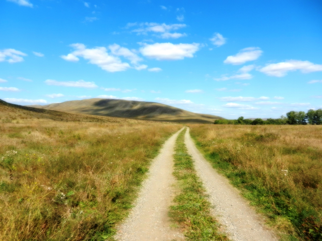 ������������� �����������