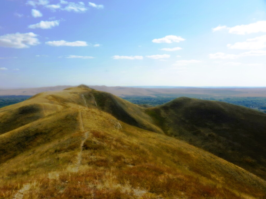 ������������� �����������