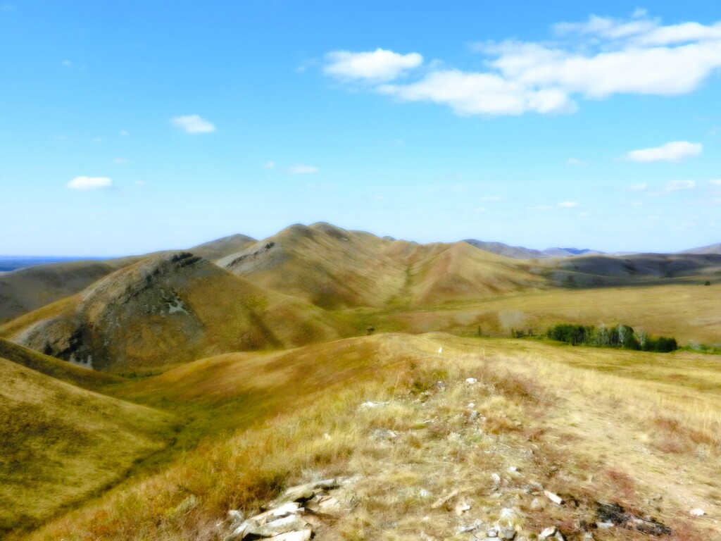 ������������� �����������