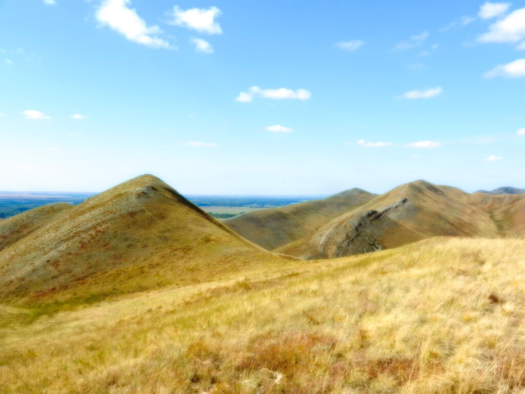 ������������� �����������