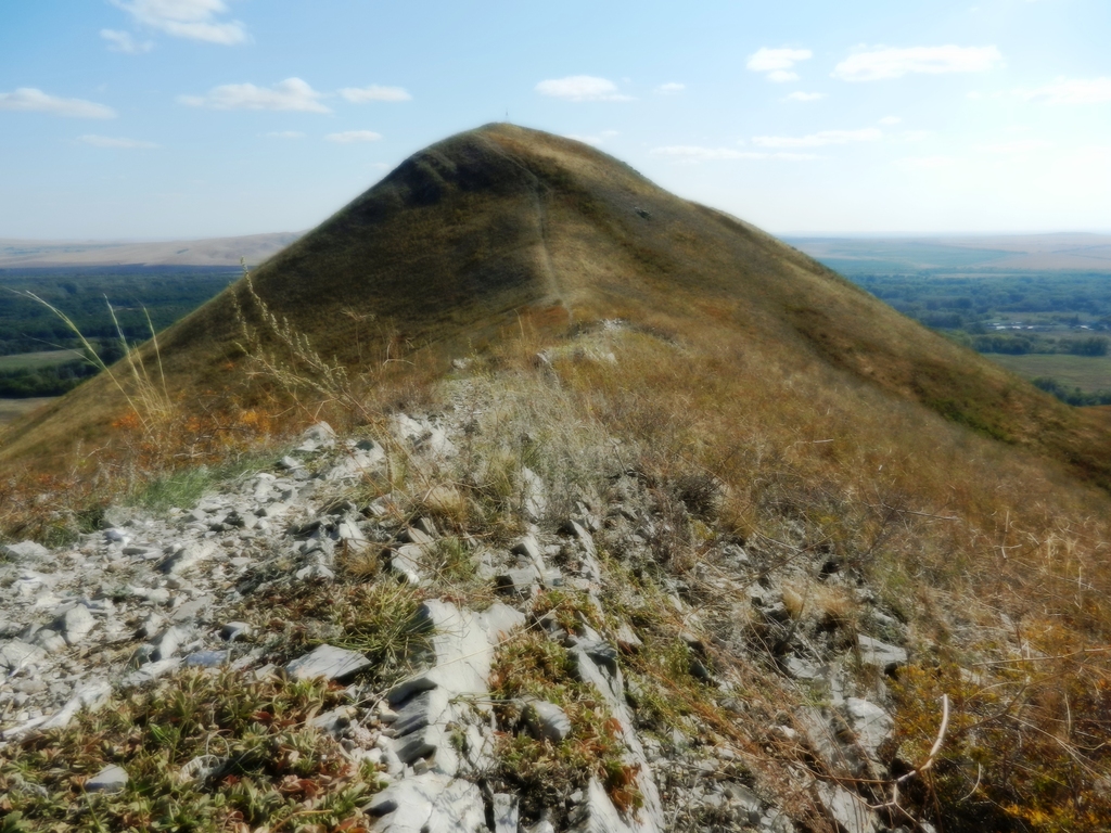 ������������� �����������