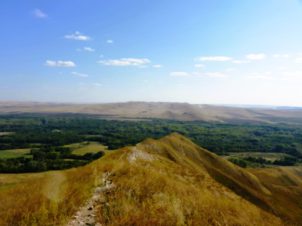 ������������� �����������