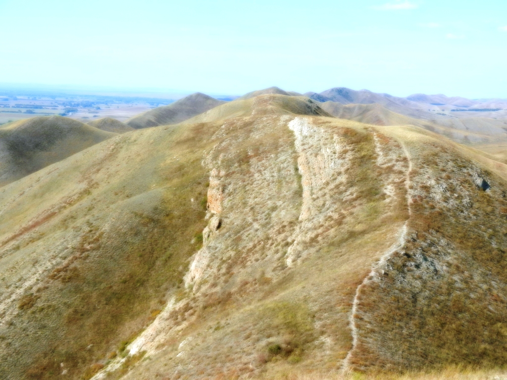 ������������� �����������