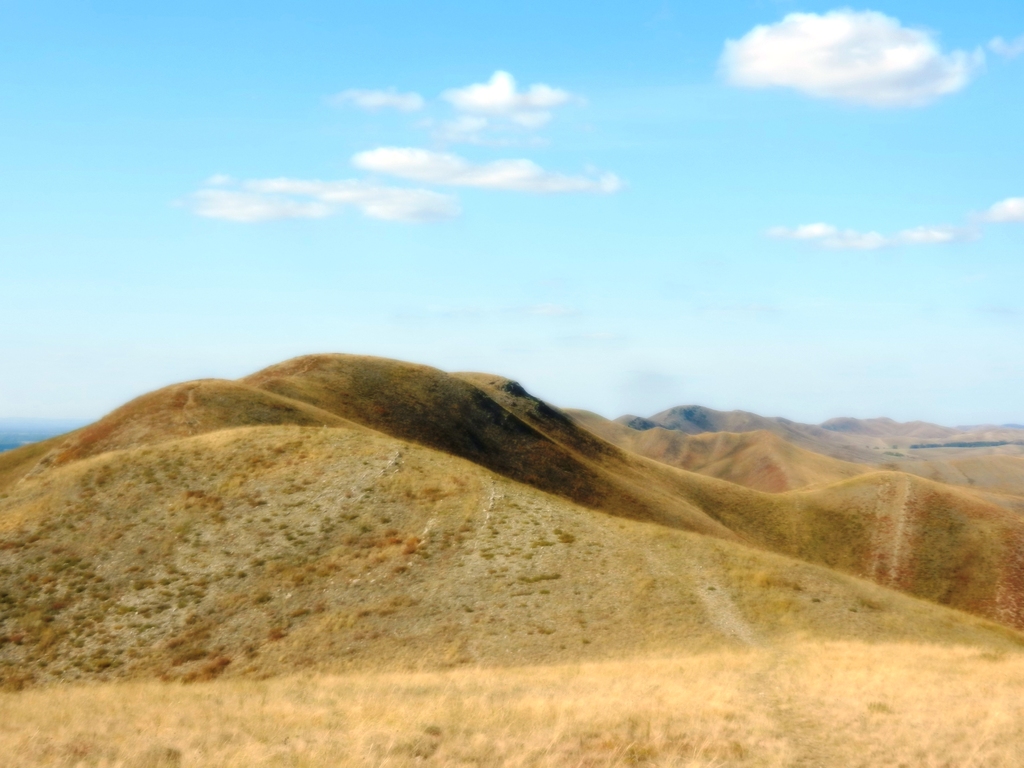 ������������� �����������