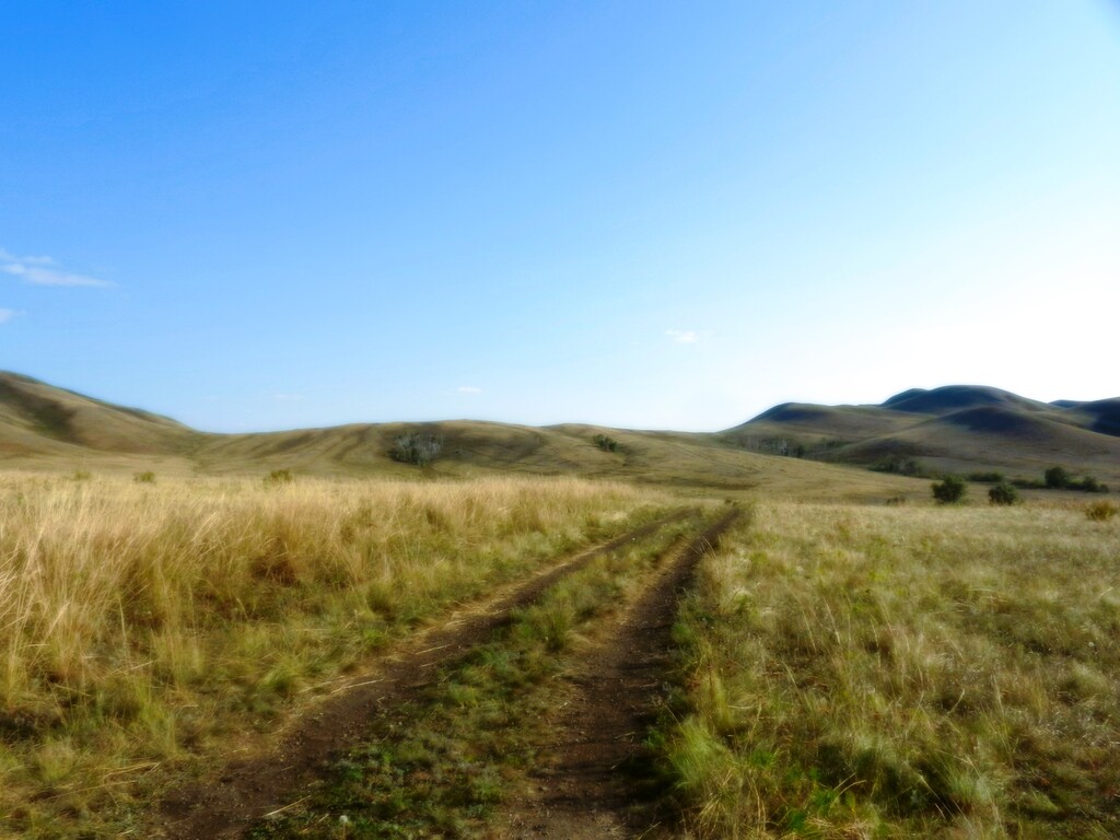 ������������� �����������