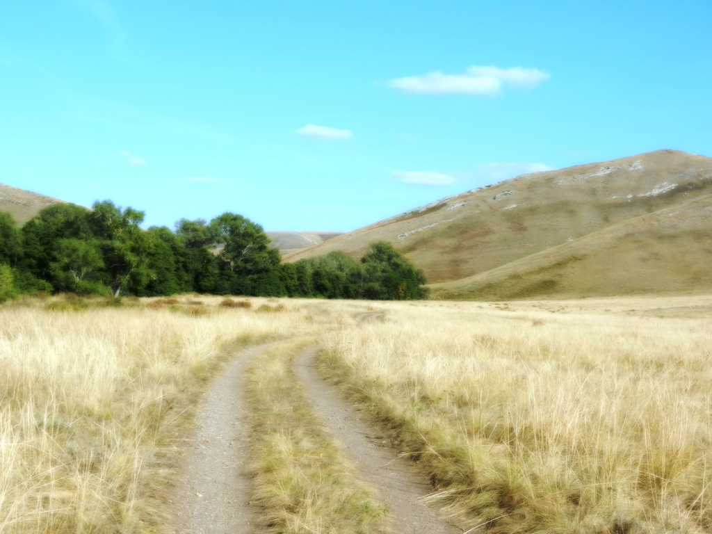 ������������� �����������