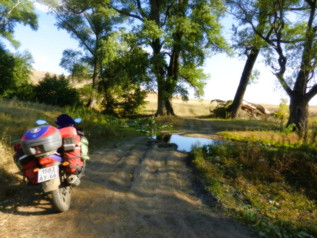 ������������� �����������