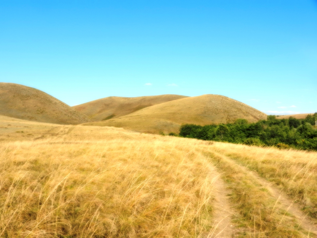 ������������� �����������