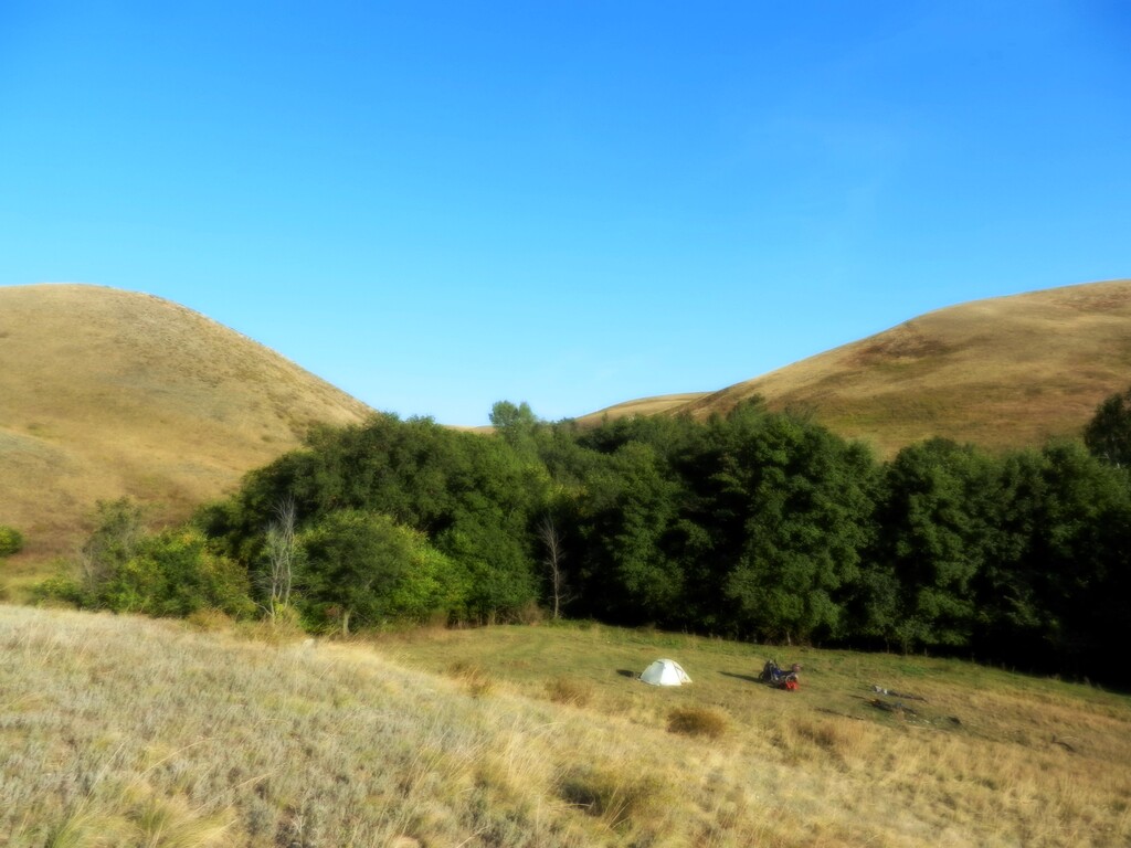 ������������� �����������