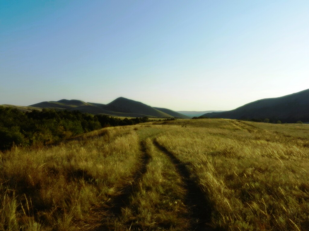 ������������� �����������