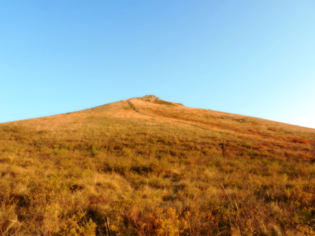 ������������� �����������