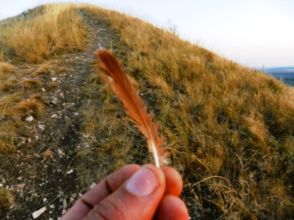 ������������� �����������