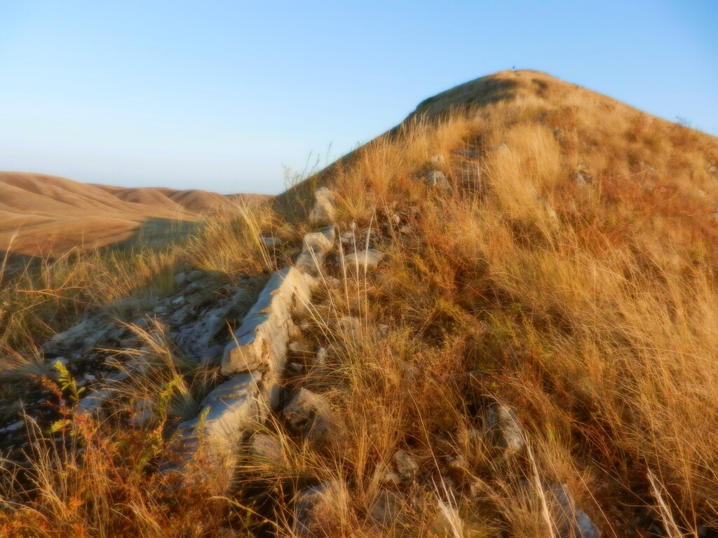 ������������� �����������