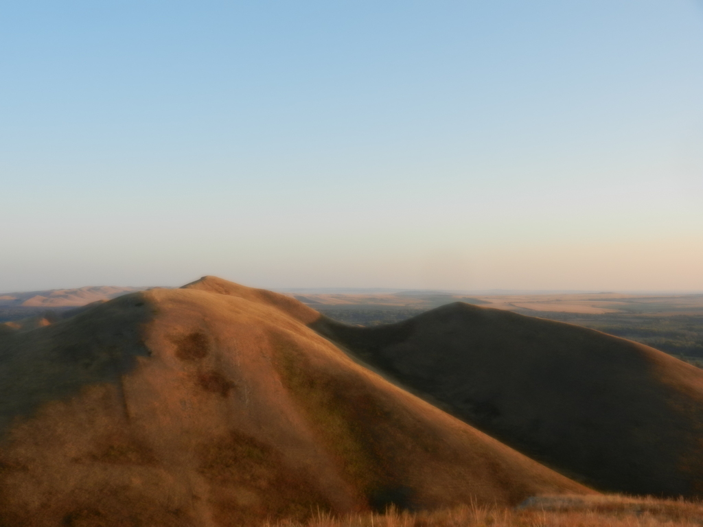 ������������� �����������