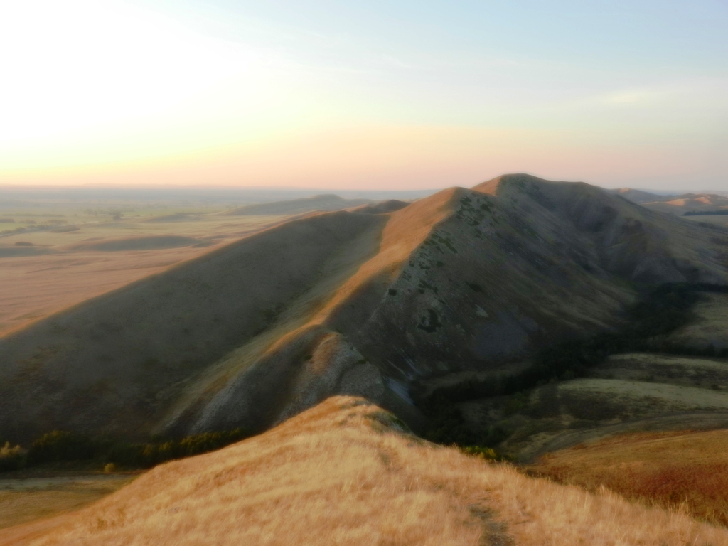 ������������� �����������