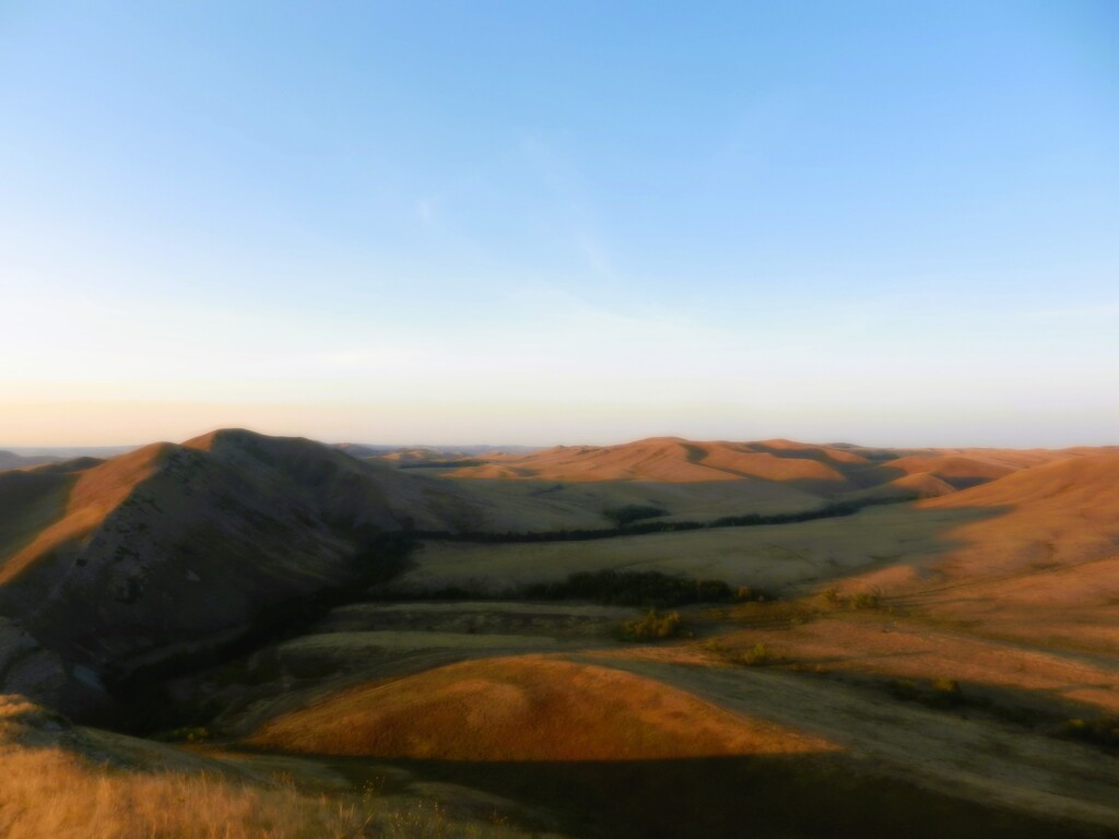 ������������� �����������