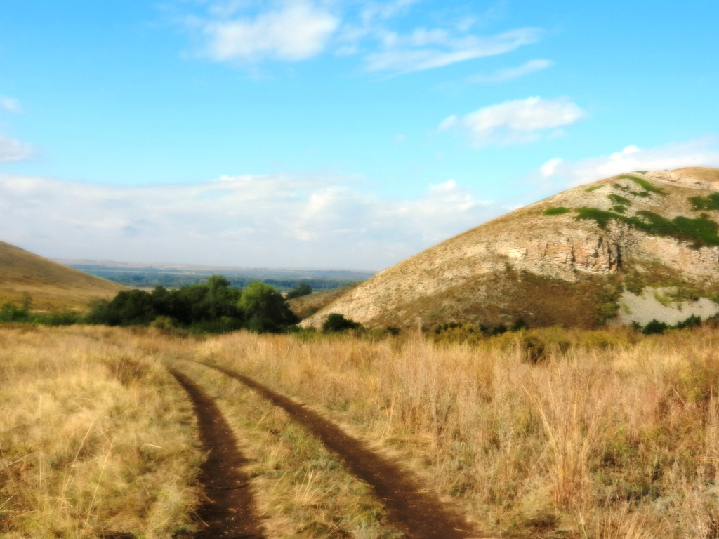 ������������� �����������