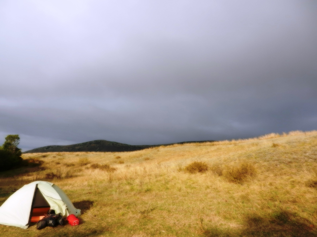 ������������� �����������