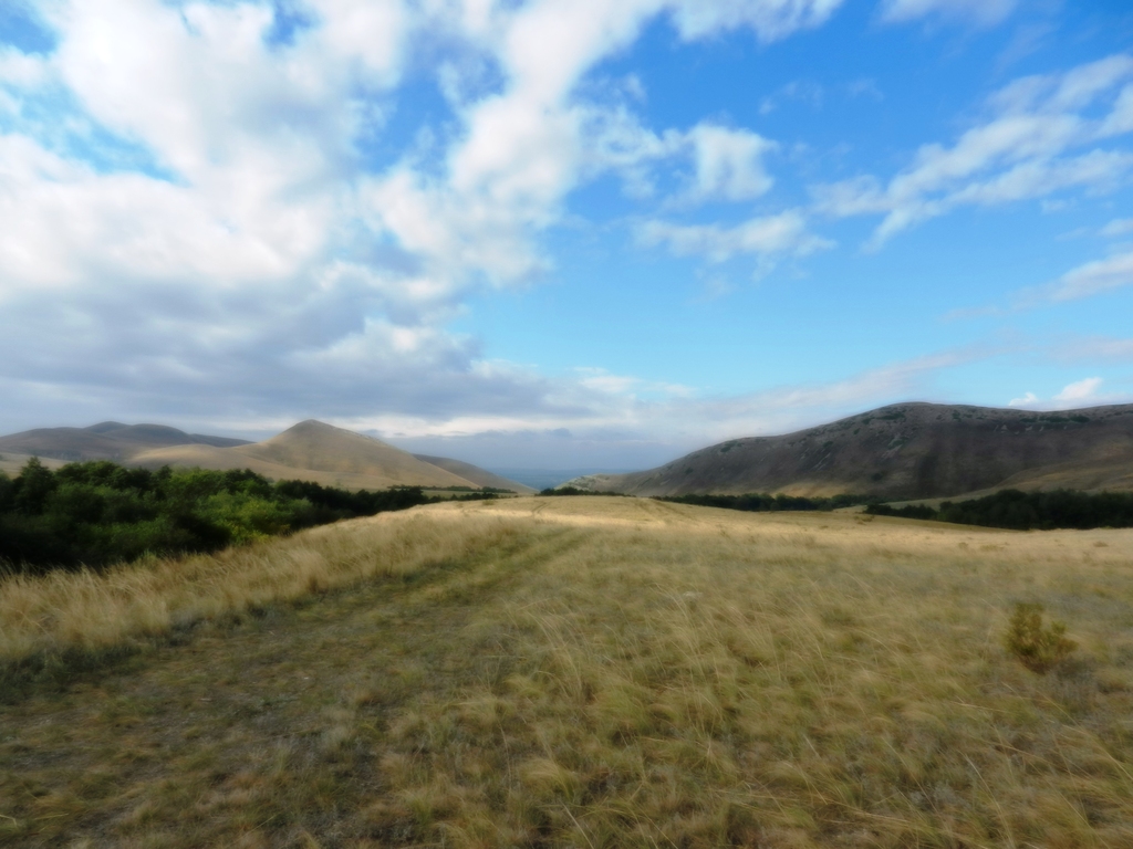 ������������� �����������