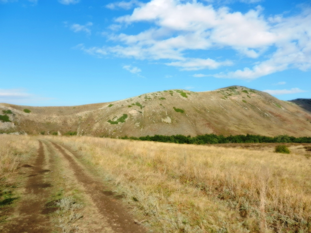 ������������� �����������