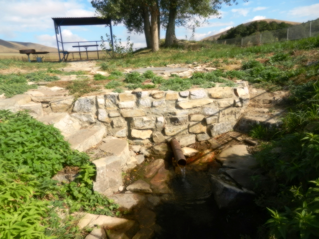 ������������� �����������