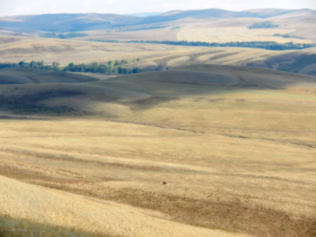 ������������� �����������