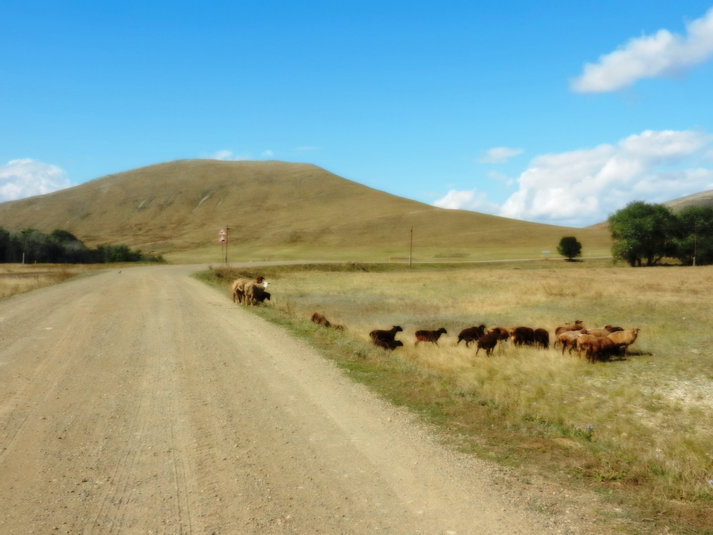 ������������� �����������