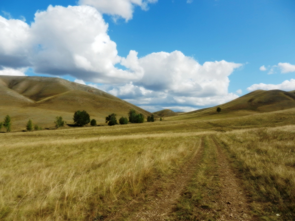 ������������� �����������