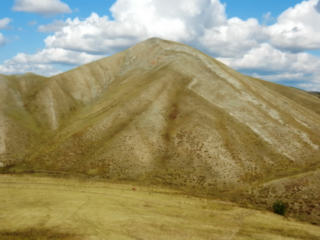 ������������� �����������