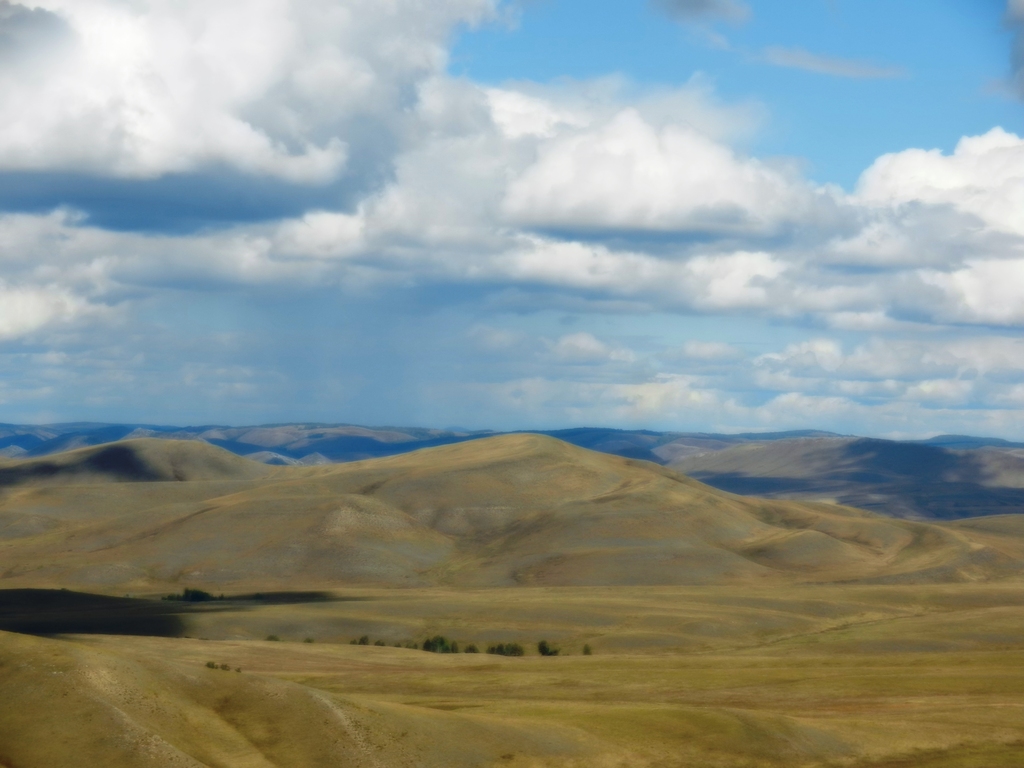 ������������� �����������