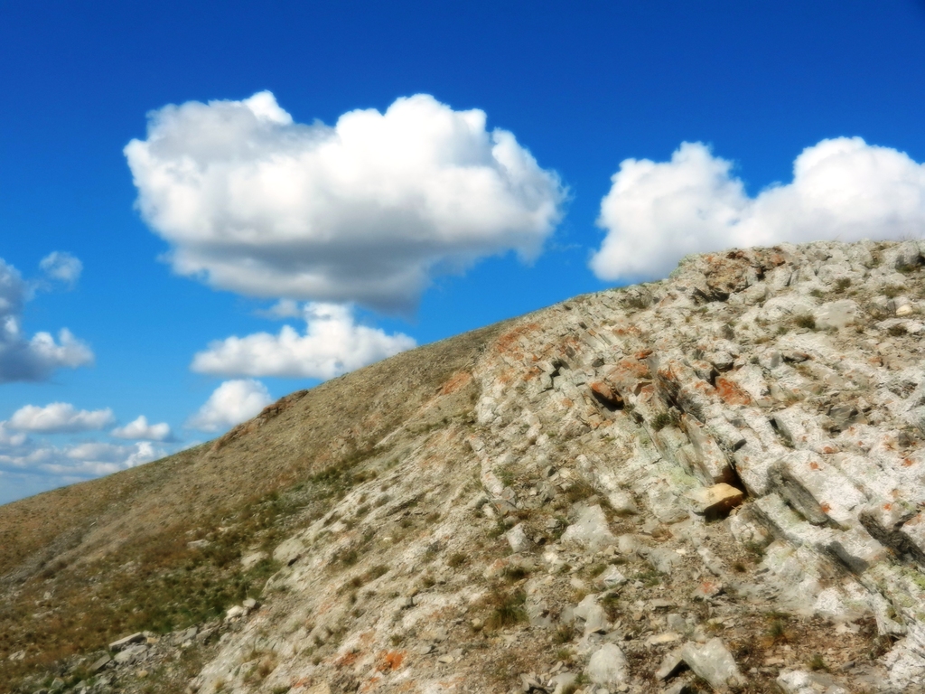 ������������� �����������