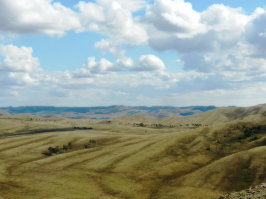 ������������� �����������