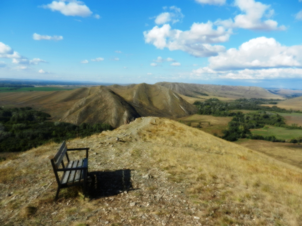 ������������� �����������