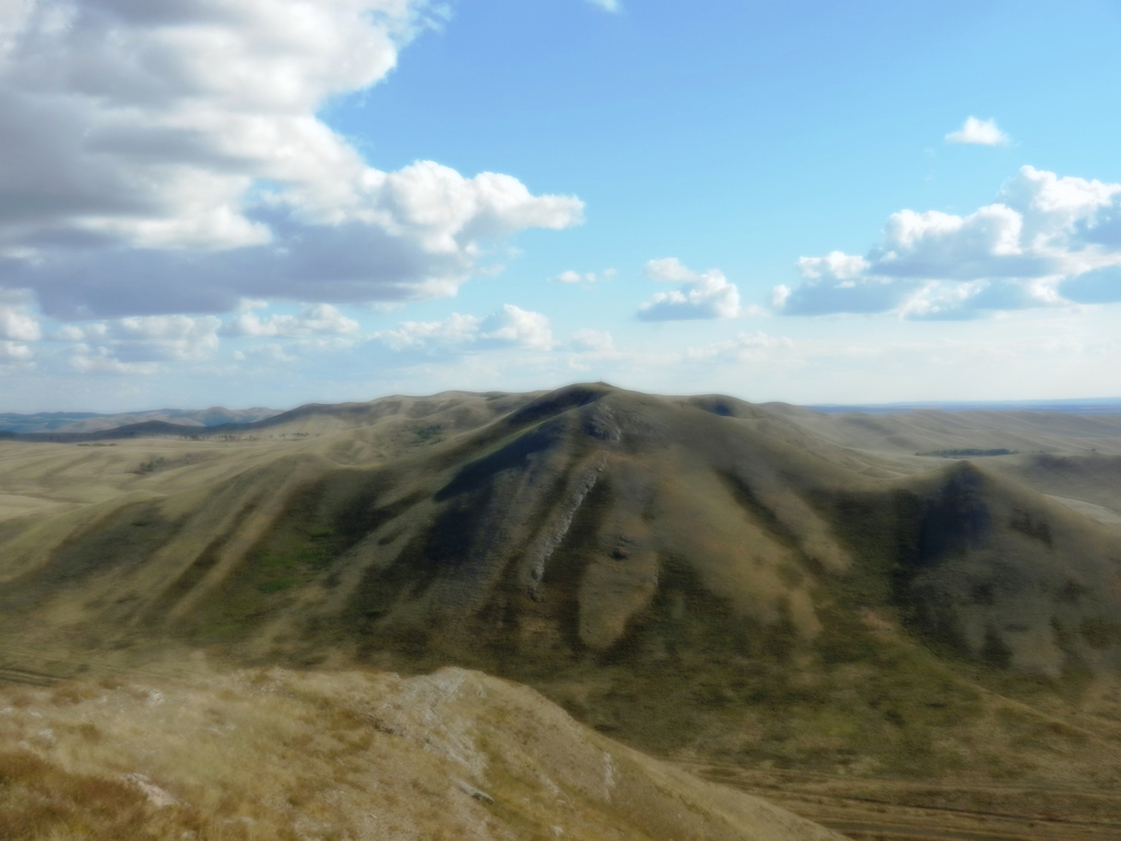 ������������� �����������