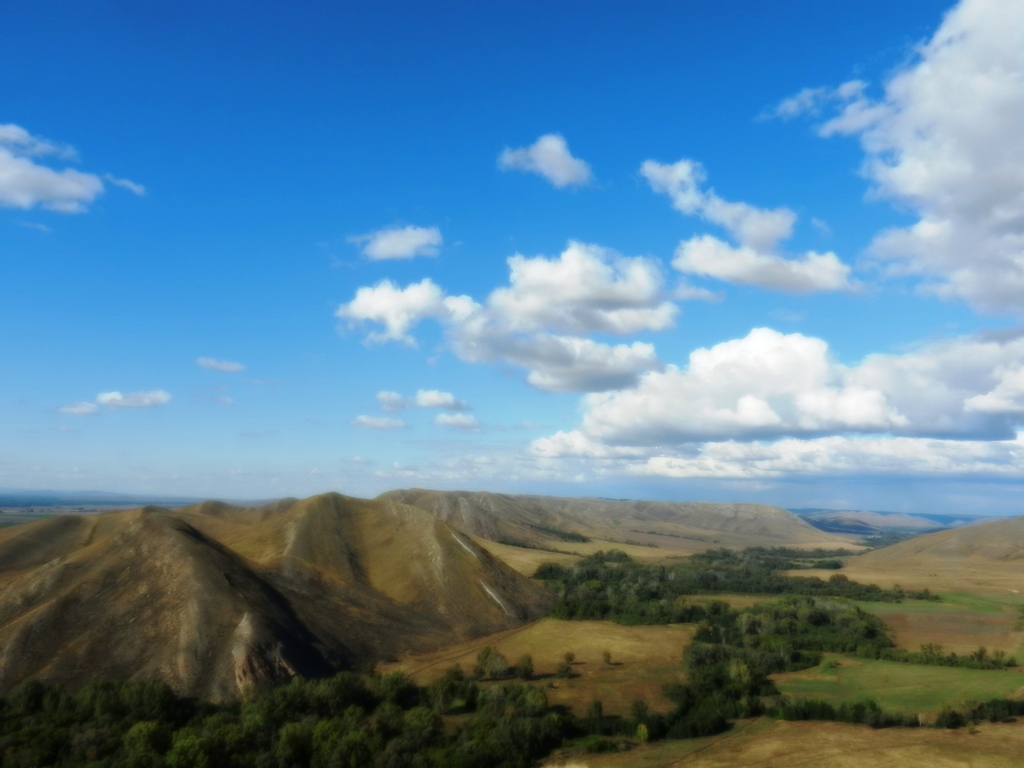 ������������� �����������