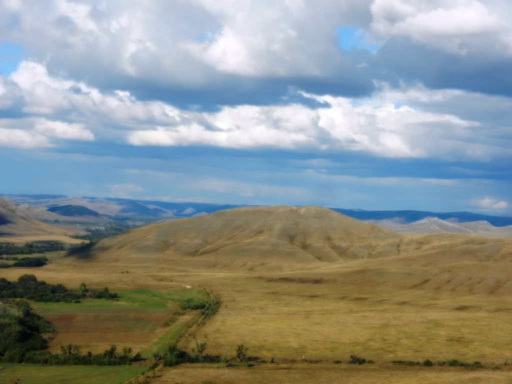 ������������� �����������