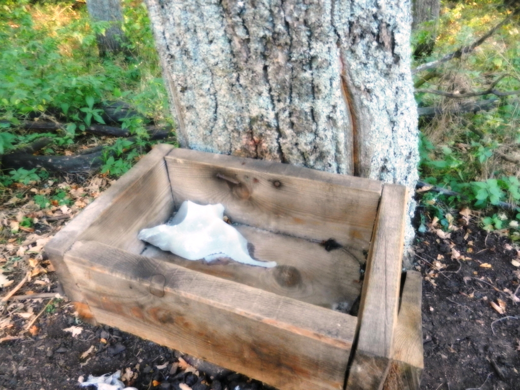 ������������� �����������