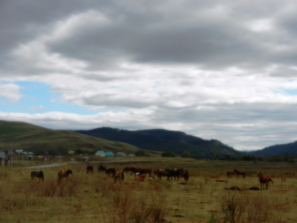 ������������� �����������