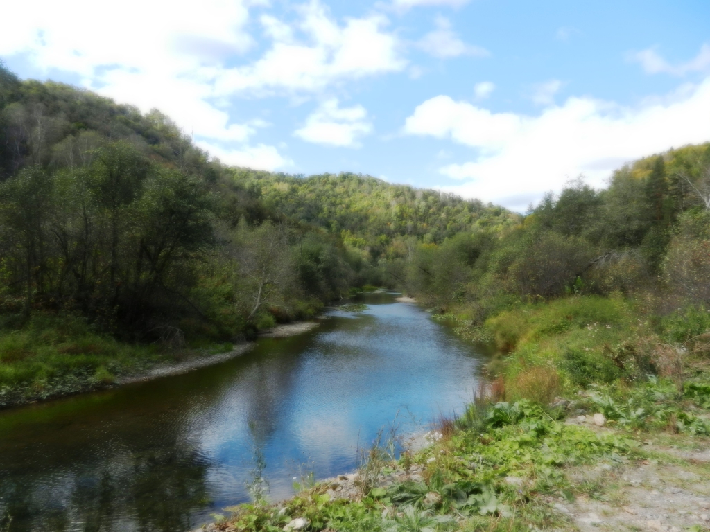 ������������� �����������