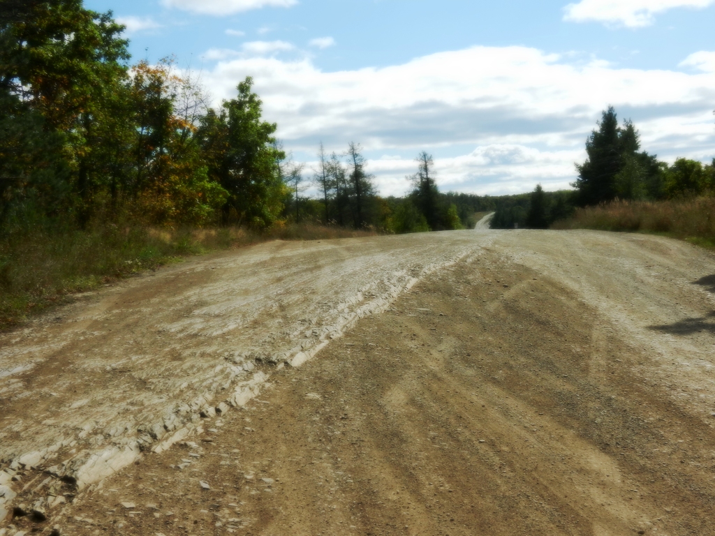 ������������� �����������