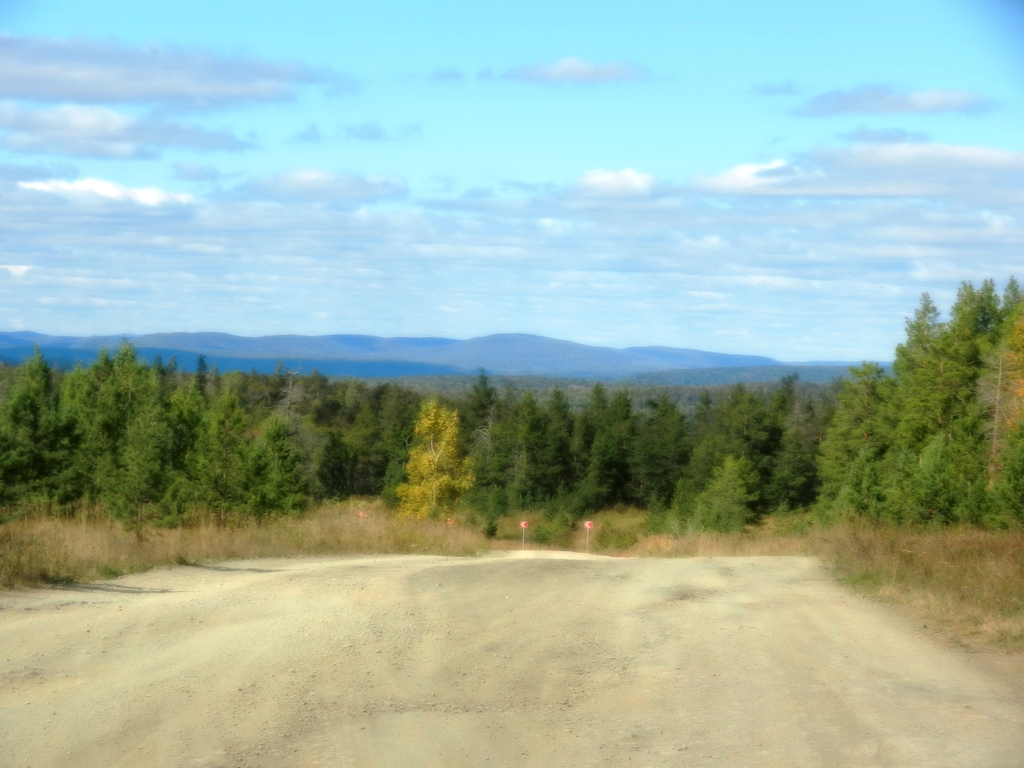 ������������� �����������