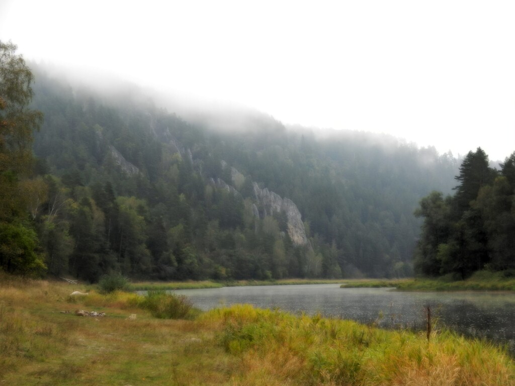 ������������� �����������