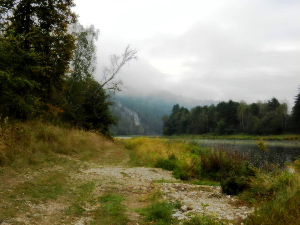 ������������� �����������