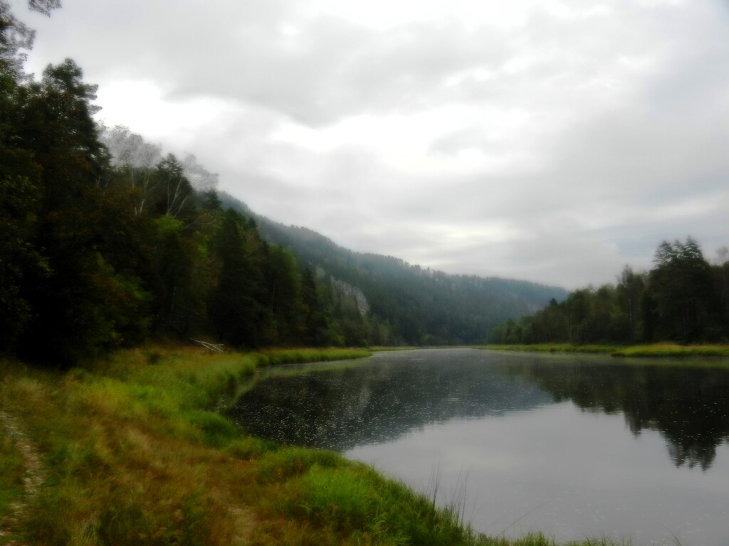 ������������� �����������