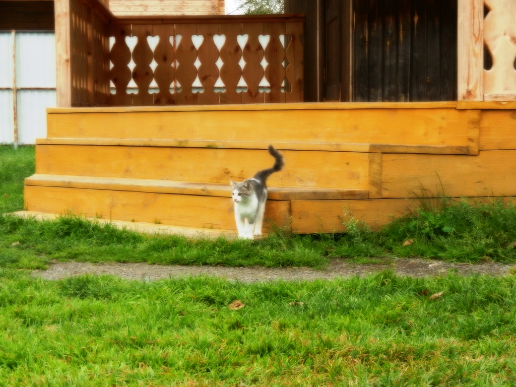 ������������� �����������