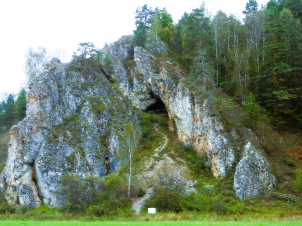 ������������� �����������