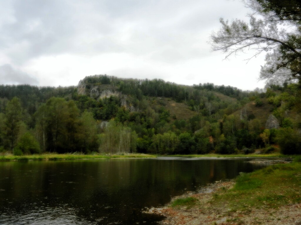 ������������� �����������